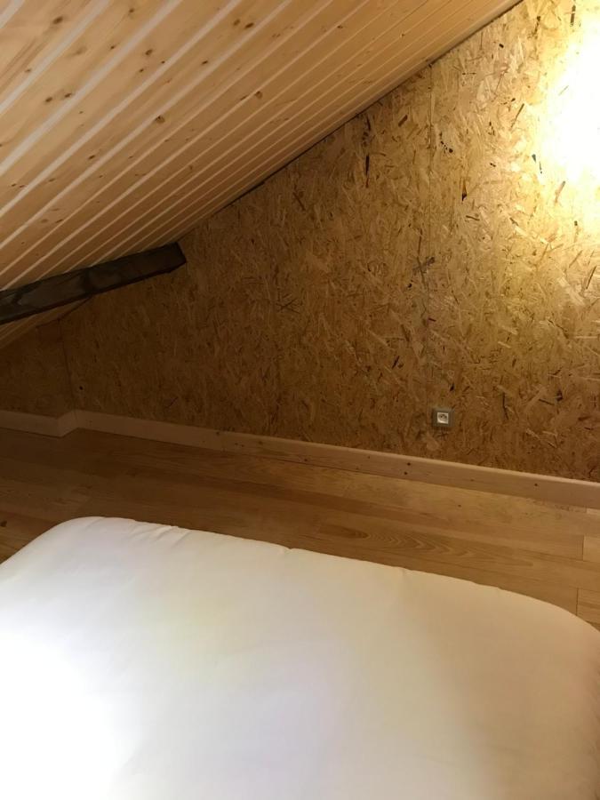 Studio De 35M2 Au Centre De Cusset Ngoại thất bức ảnh