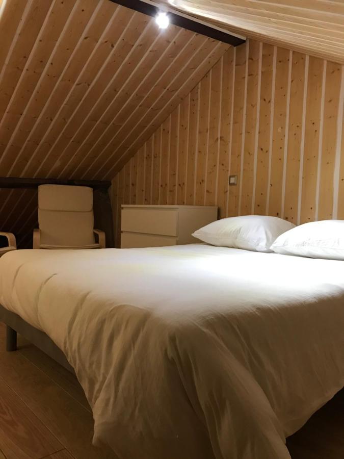Studio De 35M2 Au Centre De Cusset Ngoại thất bức ảnh